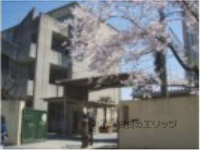 中学校　蜂ヶ岡中学校（中学校）まで650m