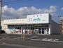 ドラックストア　ウエルシア平塚真田店（ドラッグストア）まで425m