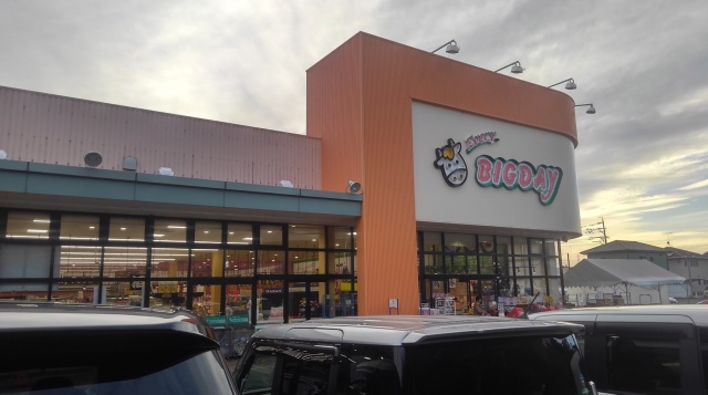 スーパー　エブリィビッグデー　有玉南店（スーパー）まで1100m