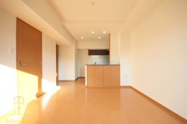 居室・リビング　リーガル岡崎橋