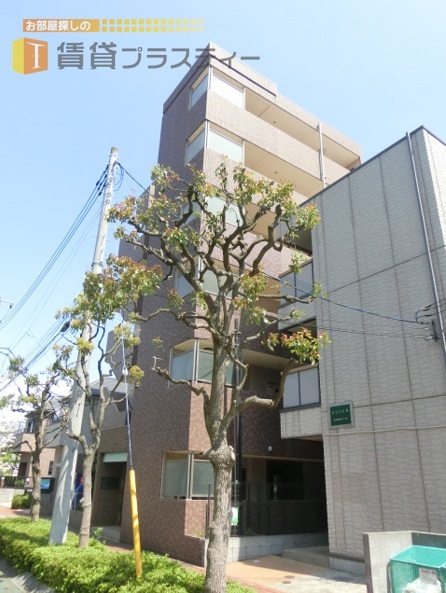 建物外観　駅まで広い歩道の１本道。。重厚感のあるマンションです。