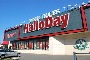 スーパー　ハローデイ（スーパー）まで211m