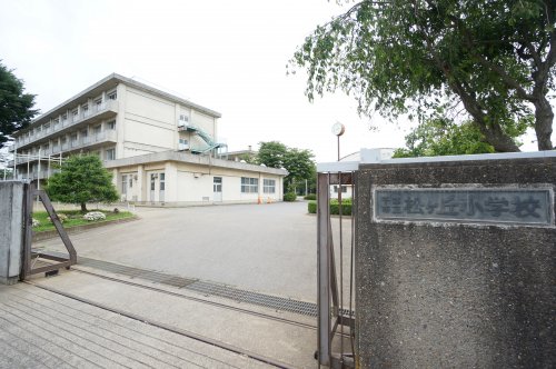 小学校　千葉市立松ケ丘小学校（小学校）まで584m
