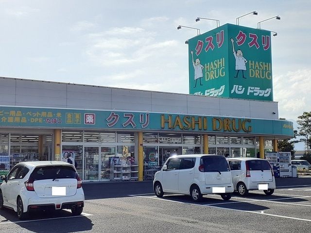ドラックストア　ハシドラック西店（ドラッグストア）まで650m