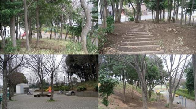 公園　桂台公園（公園）まで1080m