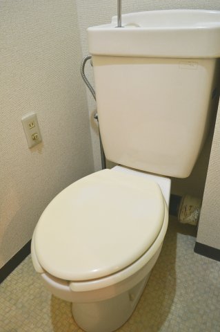 トイレ　トイレも気になるポイント