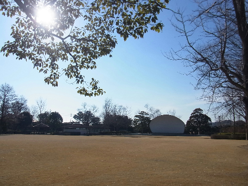 公園　新居文化公園（公園）まで1716m