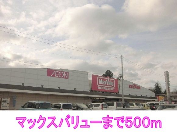 スーパー　マックスバリュー（スーパー）まで300m