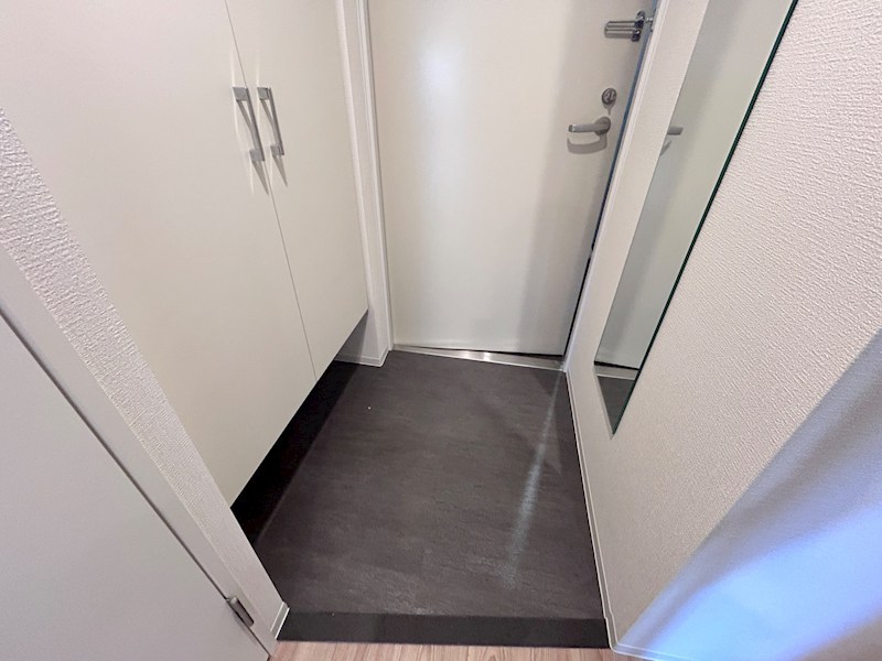 セレニテ西元町アリエの玄関写真