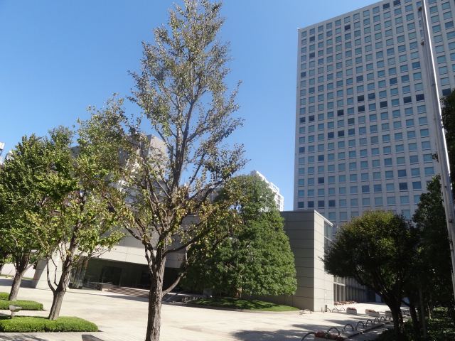 郵便局　ＩＢＭ箱崎ビル内郵便局（郵便局）まで300m