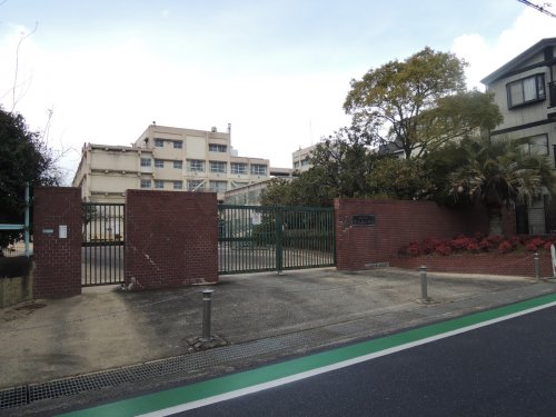 小学校　西宮市立小学校 段上西小学校（小学校）まで556m
