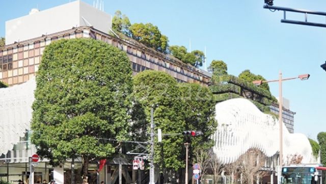その他　玉川タカシマヤ（その他）まで862m