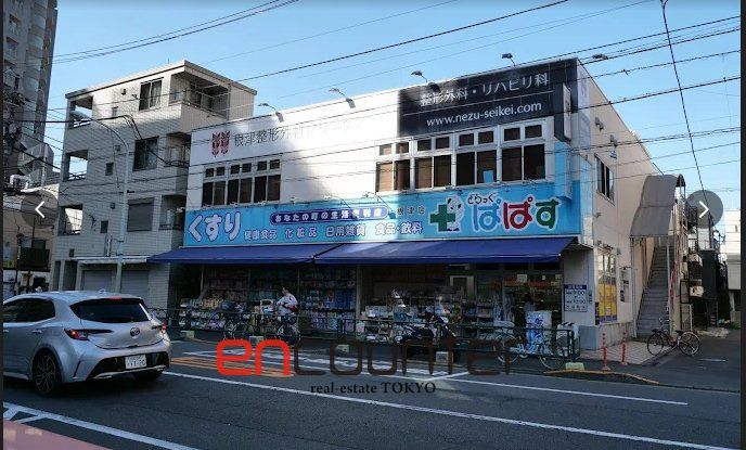ドラックストア　どらっぐぱぱす根津店（ドラッグストア）まで560m