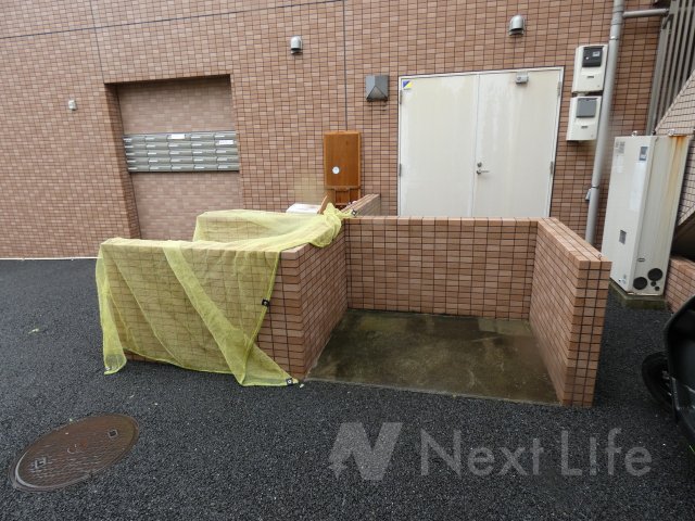 その他　コスモアージュ