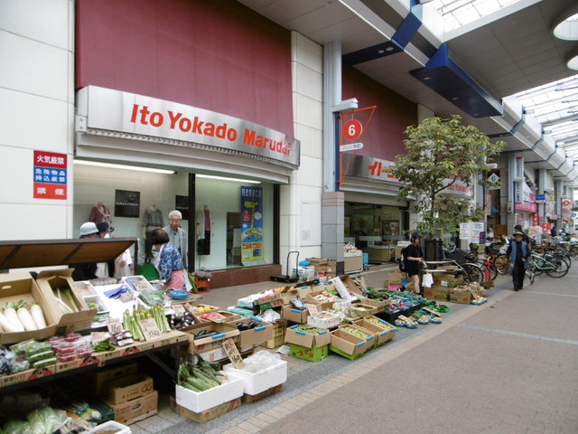 ショッピングセンター　イトーヨーカドー丸大　新潟店（ショッピングセンター）まで900m