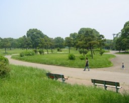 公園　篠崎公園（公園）まで738m