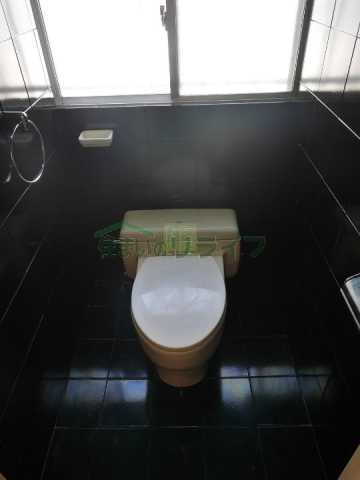 アミューズハウスのトイレ写真