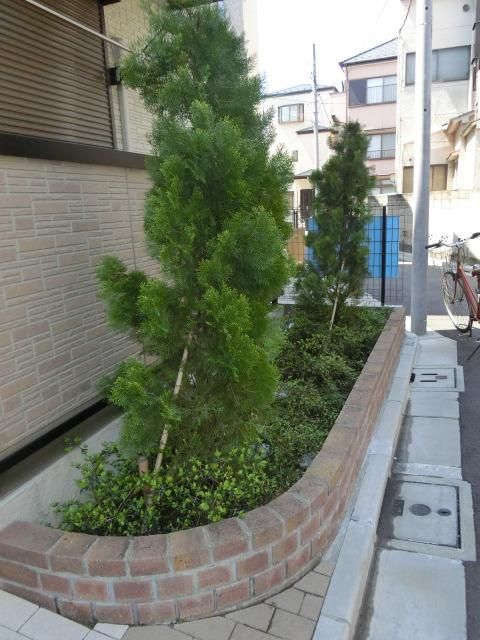 庭　植栽