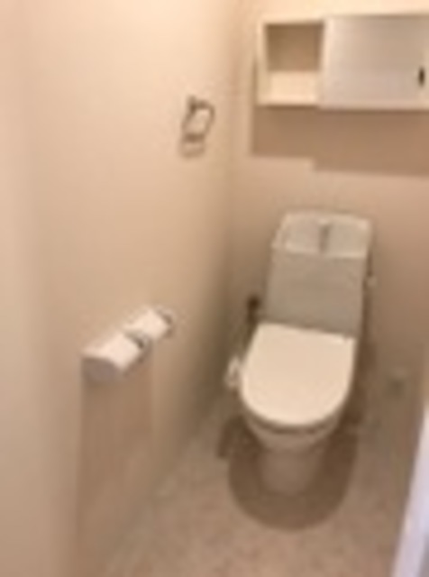阪急伊丹線 伊丹駅 徒歩10分 2階建 築7年のトイレ写真