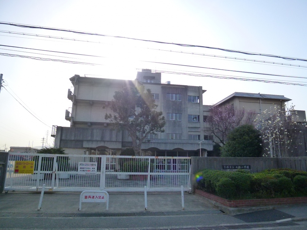 小学校　宝塚市立　丸橋小学校（小学校）まで194m