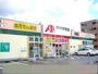 ドラックストア　クスリのアオキ桜田店（ドラッグストア）まで55m
