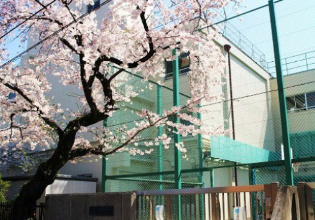 中学校　新宿区立牛込第三中学校（中学校）まで386m