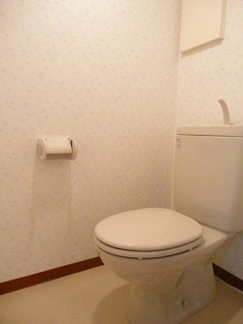プルメリアのその他写真