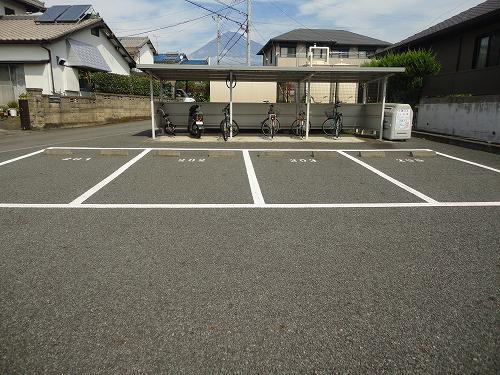 プルメリアのその他写真