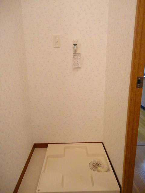 プルメリアのその他写真