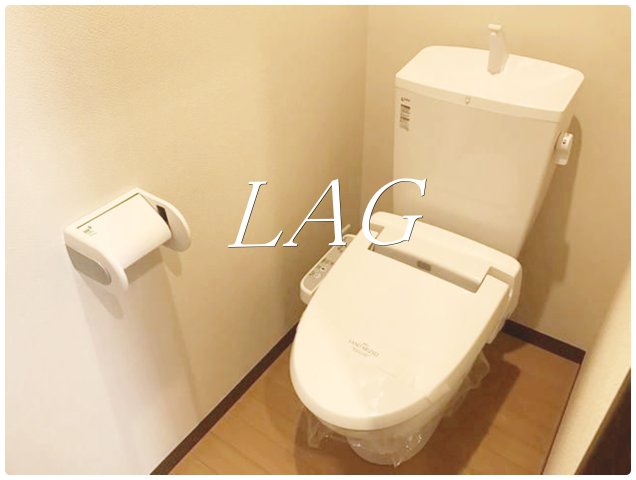 埼玉新都市交通伊奈線 今羽駅 徒歩11分 2階建 築15年のトイレ写真