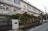 小学校　安井小学校（小学校）まで483m