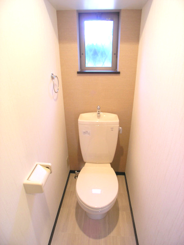 ＪＲ鹿児島本線 竹下駅 徒歩7分 2階建 築19年のトイレ写真