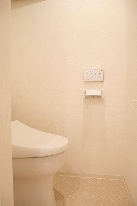 ラフィスタ鷺沼のトイレ写真
