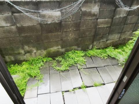 バルコニー　庭