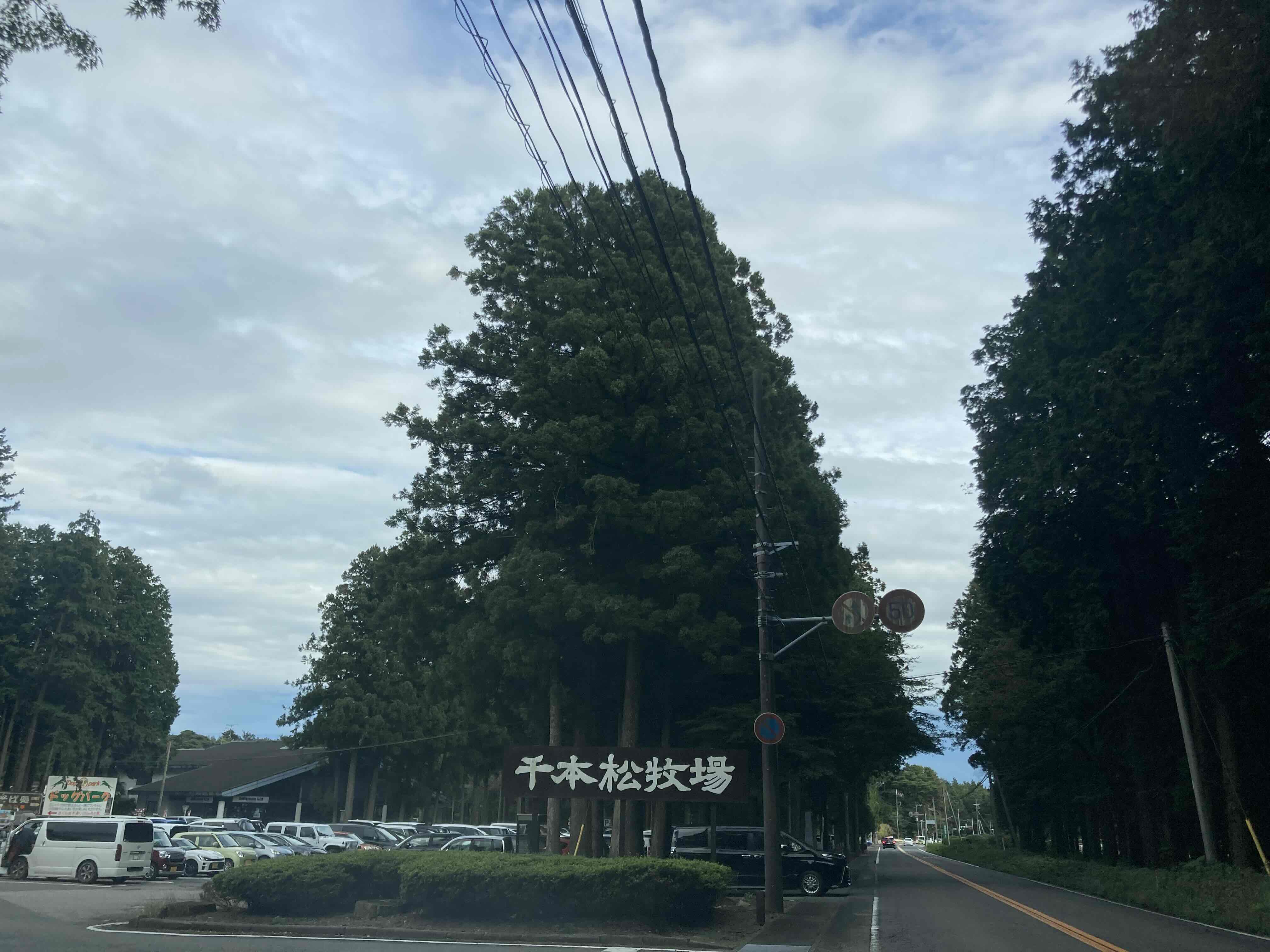 その他　千本松牧場（その他）まで3500m