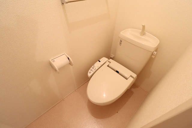 ＪＲ関西本線 久宝寺駅 徒歩15分 3階建 築18年のトイレ写真