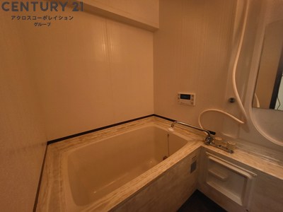 バス・シャワールーム　シンプルなお風呂です。