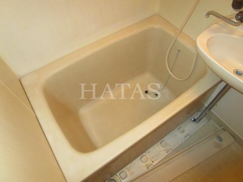 バス・シャワールーム　同物件別部屋です。