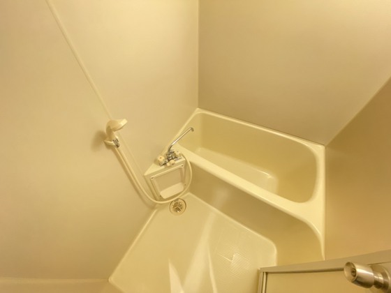 バス・シャワールーム　※別部屋の写真です