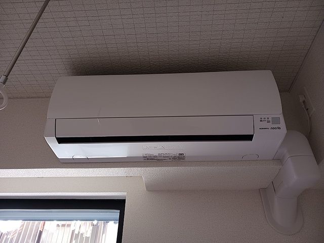 リッシュのその他写真