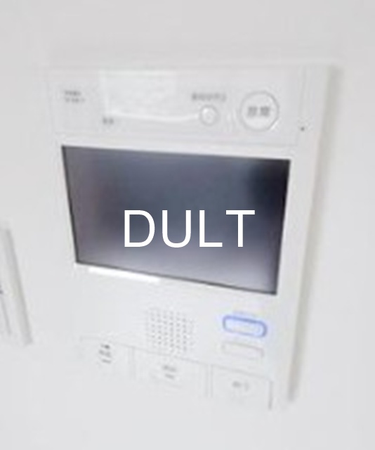 セキュリティ　モニター付きインターホンです。
