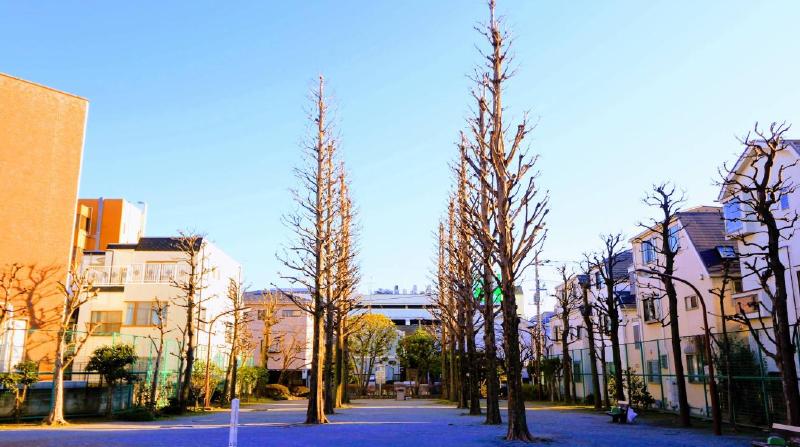 公園　立石五丁目公園（公園）まで46m
