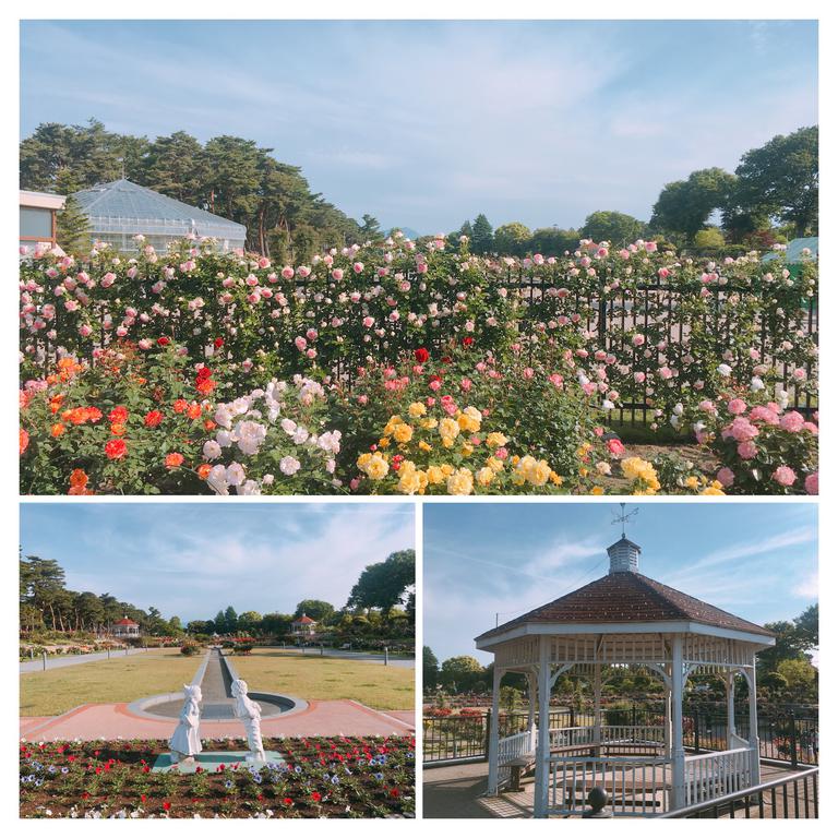 公園　バラ園　　お祭り時は更に必見！（公園）まで756m