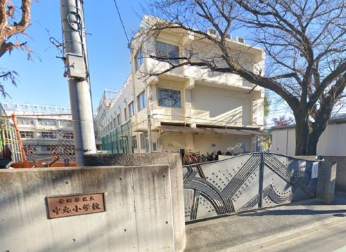 小学校　世田谷区立中丸小学校（小学校）まで326m