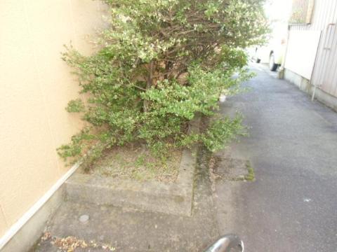 庭　庭