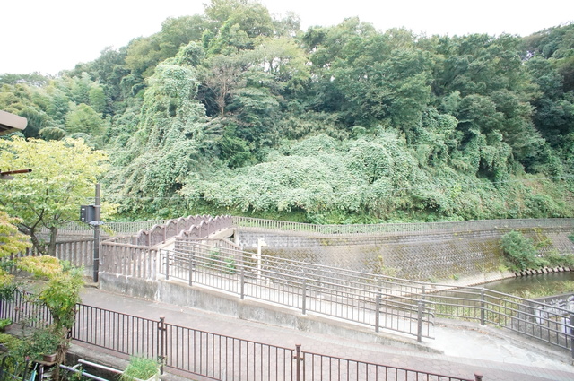 眺望　※他号室の参考写真です