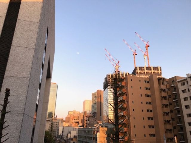 眺望　リノベーション