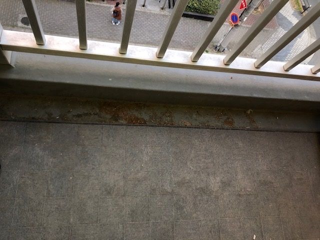 バルコニー　リノベーション