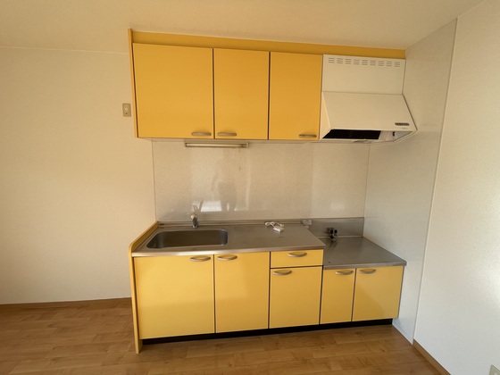 キッチン　※別号室の写真です。