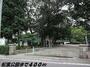公園　松葉公園（公園）まで400m